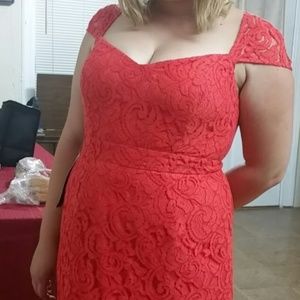 J Crew Tinsley Dress in Leavers Lace